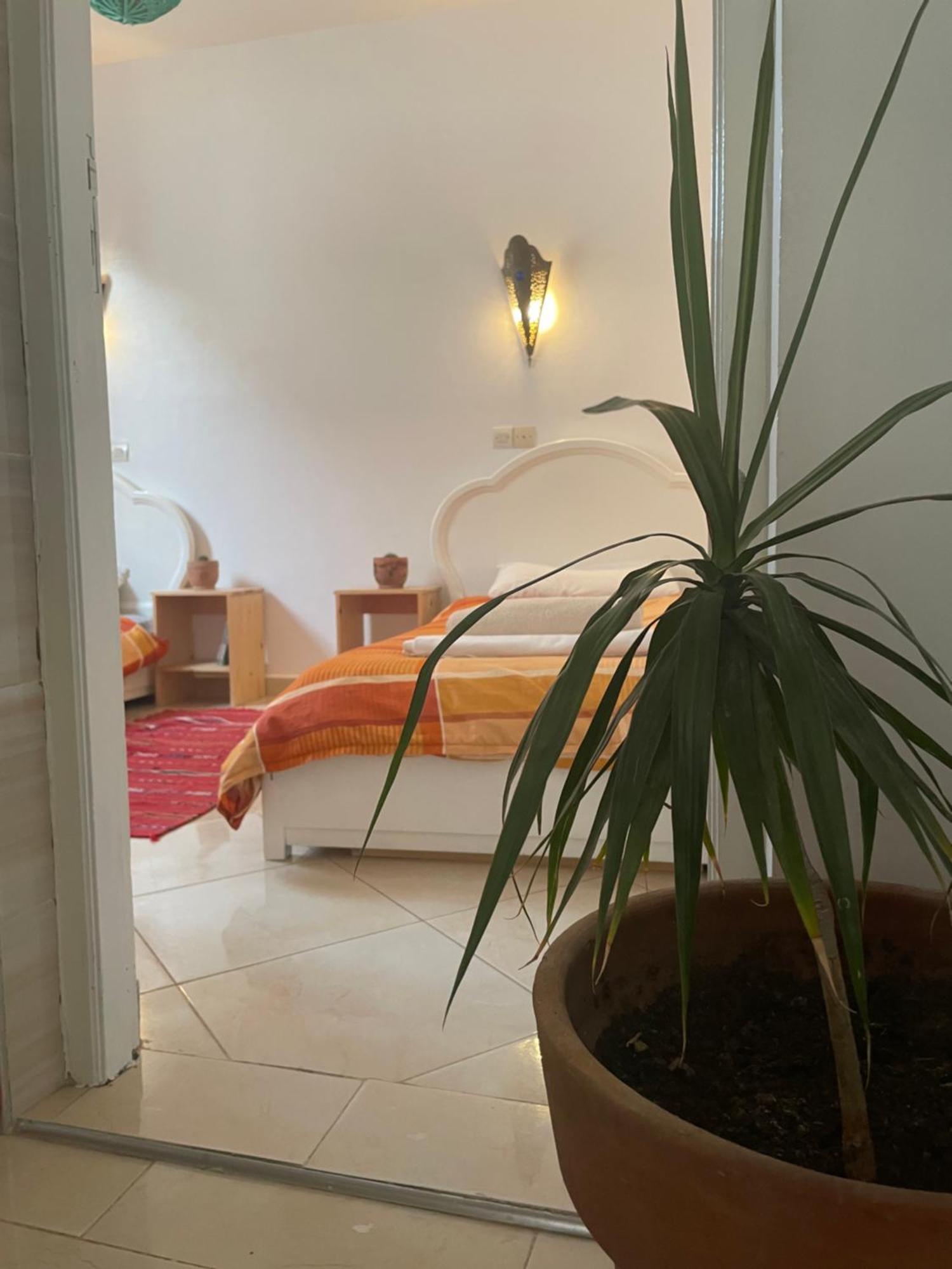 Cozy Surf House Hostel Taghazout Εξωτερικό φωτογραφία